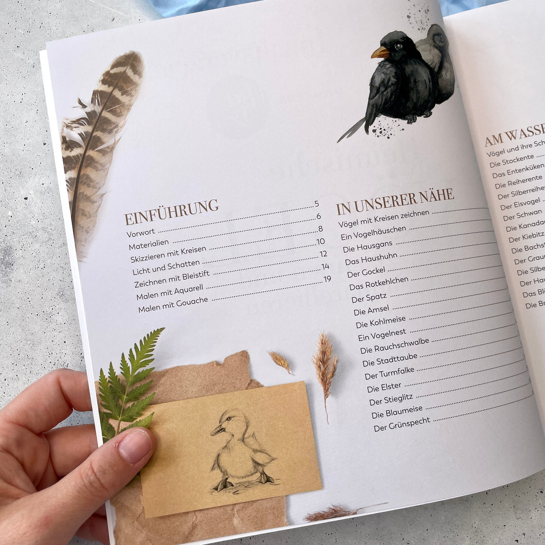 Buch Heimische Vögel Zeichnen und Aquarellieren