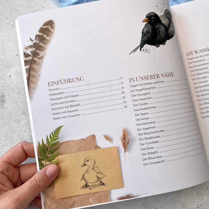 Buch Heimische Vögel Zeichnen und Aquarellieren